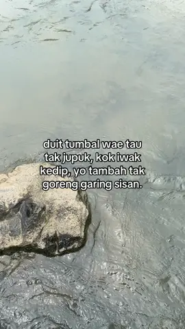 mitos #storymancing🎣 #katakatamancing #mancingliar 