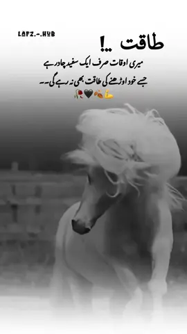 🥀🖤🖇️💪🍂``~ میری اوقات| صرف ایک |چادر| ہے  #urdupoetry #poetrylines #fypviralシ #foryoupagе #creatorsearchinsights 