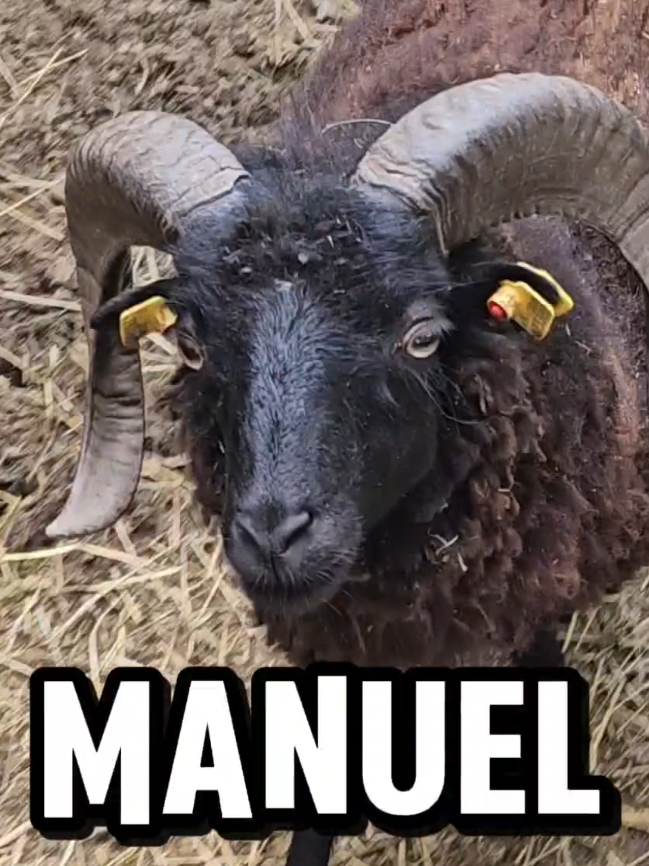👉 Kennst du auch so jemanden? 😂 #foryou #fyp #humor #viral 