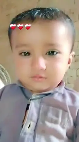 #یہ ہمارا بھتیجا ہے سنگت بھی ویڈیو وائرل کریں