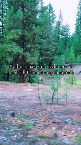 The mountain fresh air 🩷⛰️#fyp #oregon #fypシ゚viral #fypage #foryourpage 