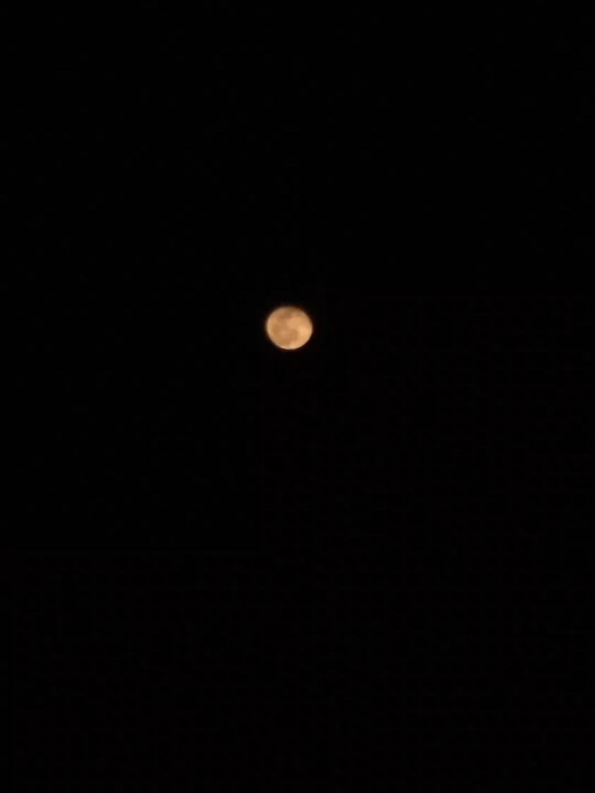 Talking to the Moon
