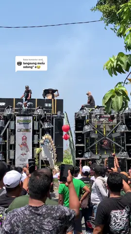 Membalas @ꦕꦠꦸꦂ  podo josjis e🔥#soundhoregjawatimur #sidoarjo24jam #horegjawatimur #tjapmorgan 