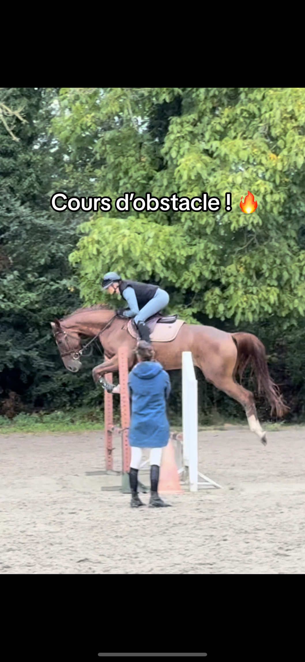 C’est la rentrée !! Et donc la reprise des cours d’obstacle avec ma baby Litchie 😍 Une progression de fouuu 🔥 #cheval #chevaux #jumpinghorse #jeunecheval #equitation 