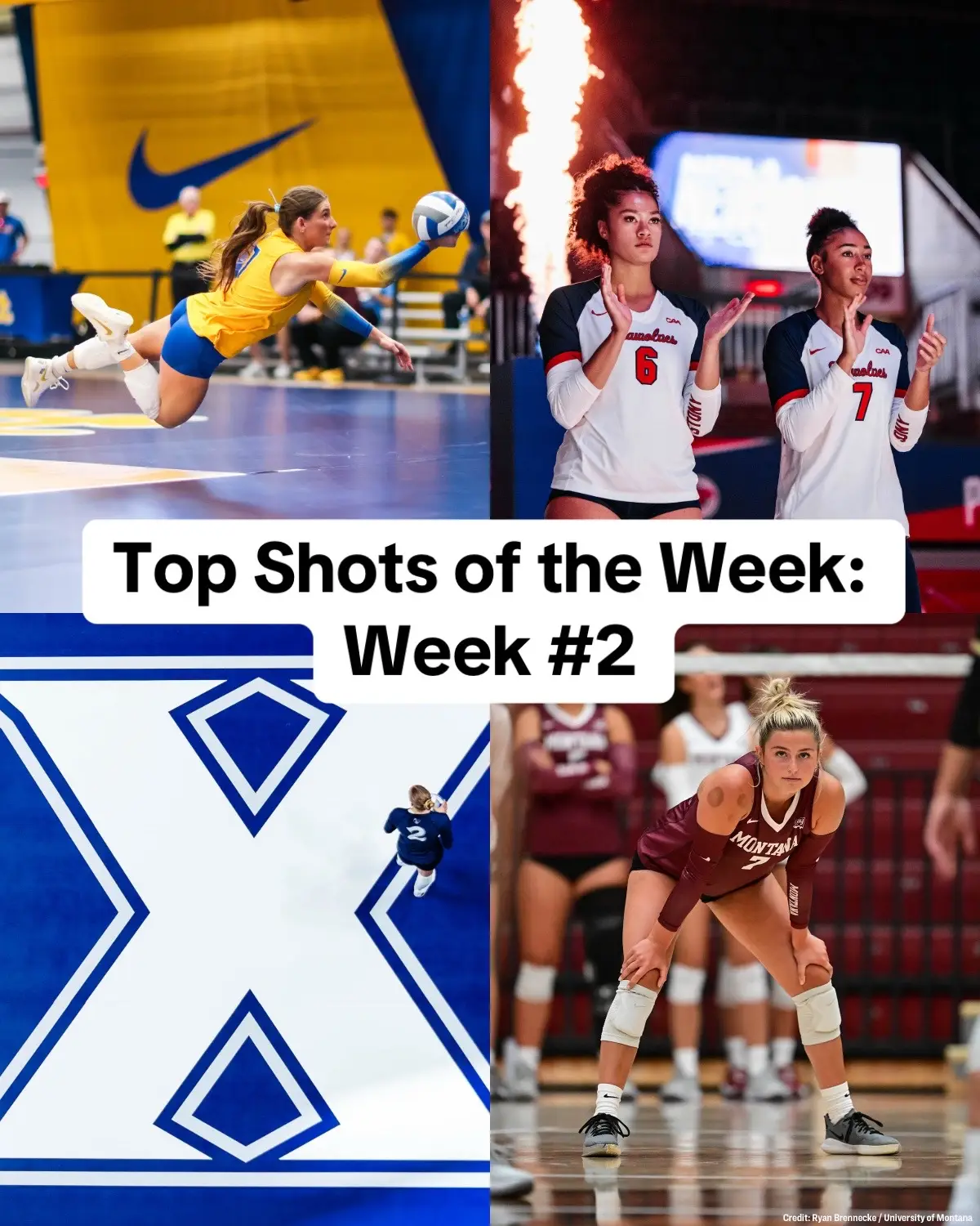 #NCAAWVB Top Shots of the Week 🏐📸 #fyp #foryou #volleyball #photography 