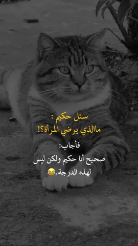 سئل حكيم #عبارات_جميلة_وقويه😉🖤 #fyp #you #أعادة_نشر🔃 #اكسبلورexplore 