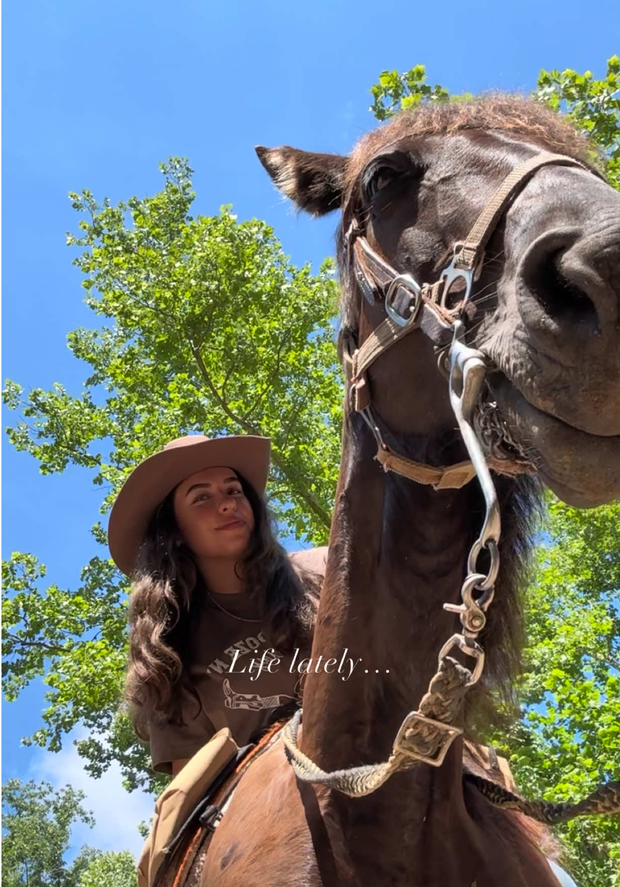 LIFE LATELY 🤠 your sign to stop and appreciate the little things #countryliving #lifelately #photodump #aesthetic #recap 