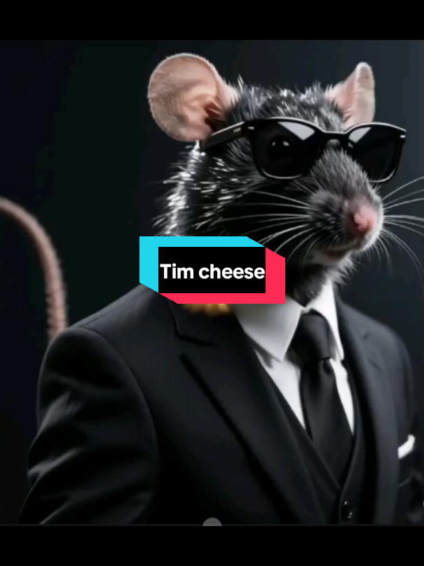 Tim cheese 🧀 #brainrot 