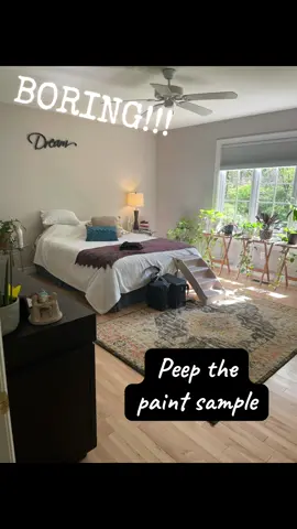 #fyp #explore #paint #benjaminmoore #bedroommakeover 