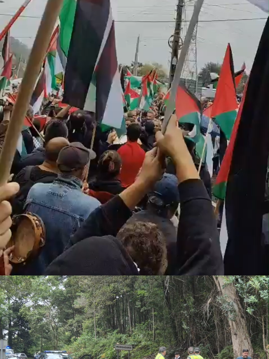 Manifestantes propalestinos tumban un árbol, cortan el trazado y La Vuelta elimina los últimos ocho kilómetros de la etapa #propalestina #lavuelta #israel #manifestantes #deportesentiktok #ciclismo