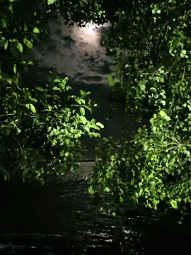 একাকিত্বে অনেক শান্তি, মিথ্যা ভালোবাসা মিথ্যা অভিনয় এর থেকে । 😅🥀 #rajshahi #exiting_roctim #viral #fypシ @TikTok Bangladesh 