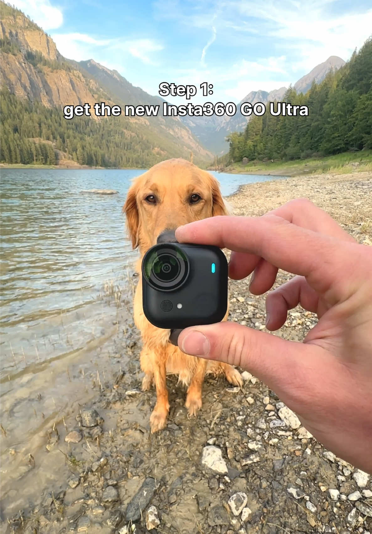Step 3: never stop swimming 🙂‍↔️🏊🏼‍♂️ #goldenretriever #insta360goultra #vloggingcam #pocketcam @insta360 official 