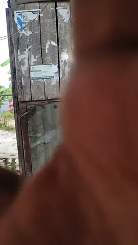 tiktok viral video #viralvideo #trending #creatorsearchinsights 