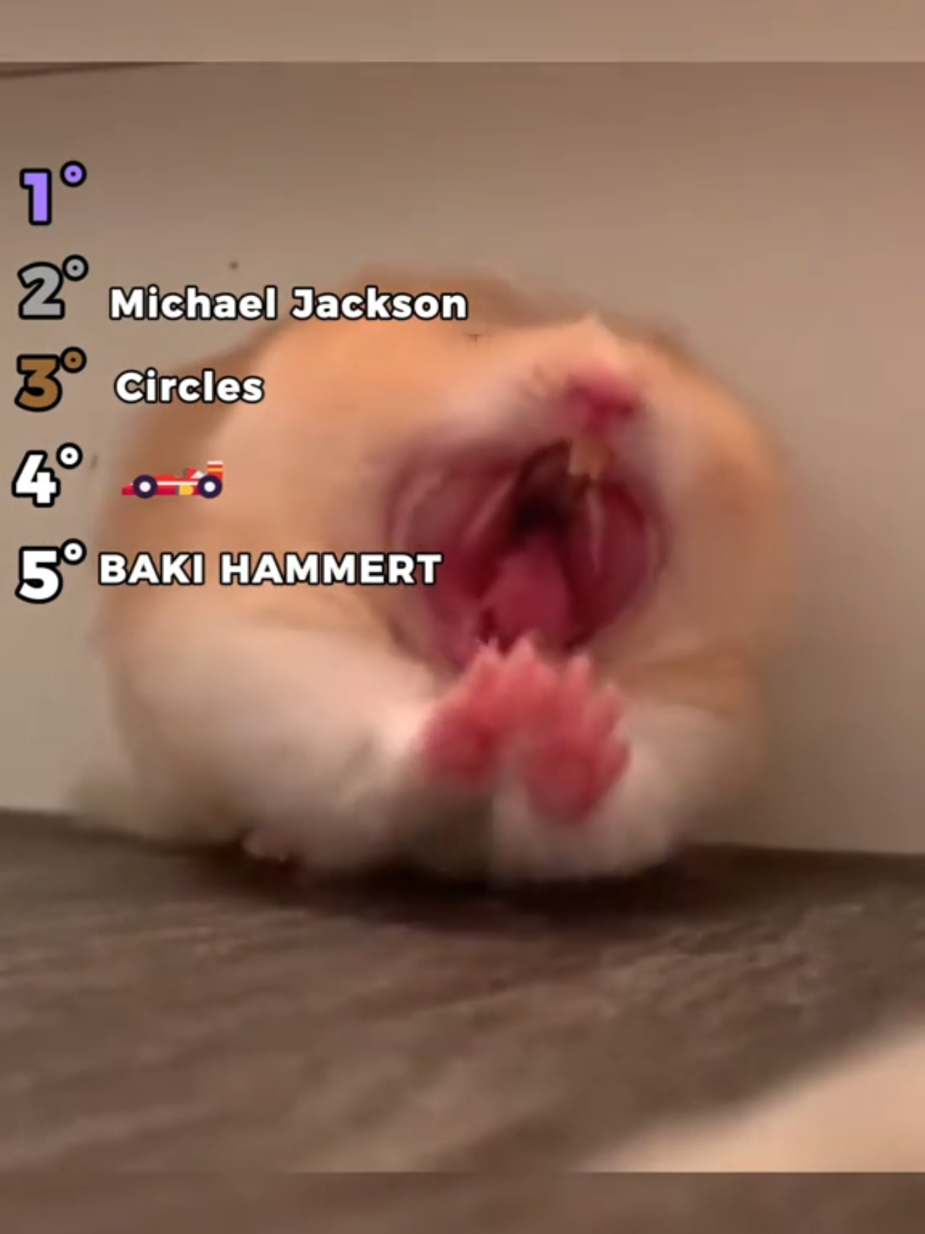 Funny Hamster Moments!!! 😂 #fyp #hamsters #funny #top5 #ranking 