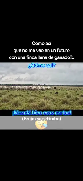 Inaceptable q le este pagando.. Y me salga con maricaditas ome #Bruja #Cartas #Futuro #construyendofuturo #TikTok @creator search insights @#foryou 