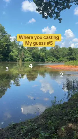 Where You Casting #fyp #trending #fish #fishing #trendingvideo 
