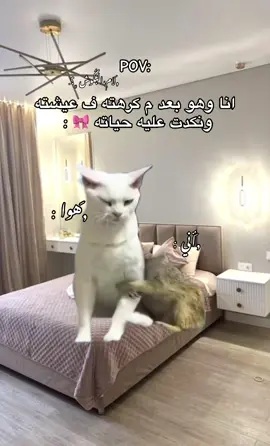 #اكسبلور_فولو_لايك #الشعب_الصيني_ماله_حل😂😂 #ليبيا🇱🇾 