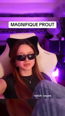 @astrid!! nayjee magnifique pet cela dit #humour #nayjee #twitchclips #streamerfr #twitchfr 