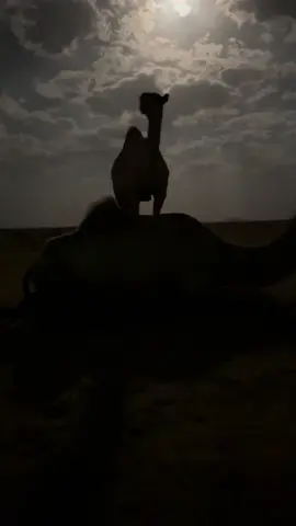 #اكسبلور #قمر #البل #f 