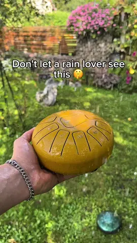 They definitely would love it #garden #rain #nature #instrument #melody 