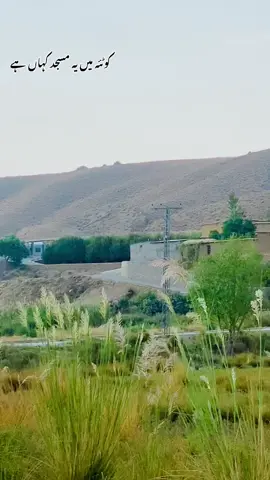 Where is this masque #پشتون_تاجیک_هزاره_ازبک_زنده_باد🇦🇫 #viralvideo #viralvideo#foryou 