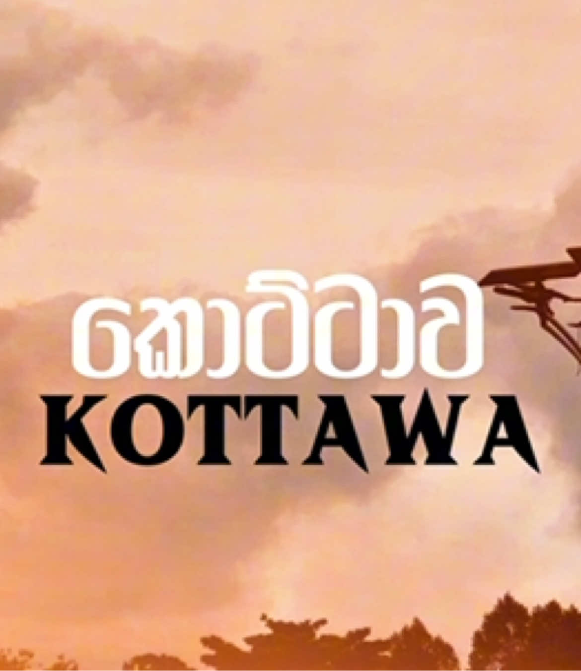 Kottawa - කොට්ටාව  Sri Lanka 🇱🇰  westනාහිර 🌚💗 Video by - Adithya Keppetipola  Device    - 13pro #kottawa  #kottawasrilanka  #kottawa_api🥺🌍💗  #cinematic  #srilanka  @JANANI ARTIGALA  @