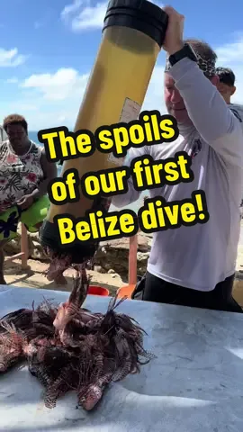 Not bad hopefully we’ll get a lot more on the next dive! #finsbelize @FINS Belize @ZooKeeper @Diveforcee 