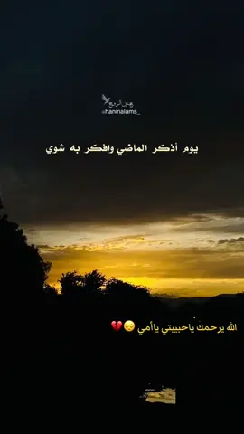 #يوم_اذكر_الماضي_وافكر_به_شوي #fyp #حنين_الروح #family #رحمك_الله_يا_فقيدة_قلبي💔 
