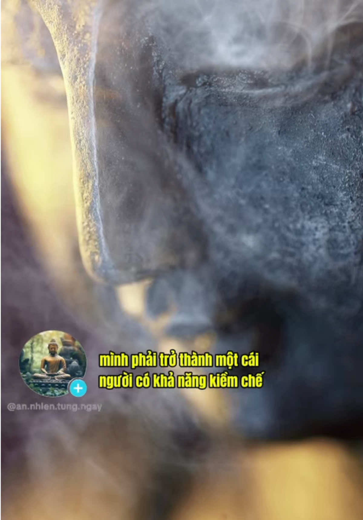 Mình phải trở thành một con người có khả năng kiềm chế bản thân mình ..#phatphap #phatphapnhiemmau #annhien #loiphatday #chualanhtamhon #thayminhniem 