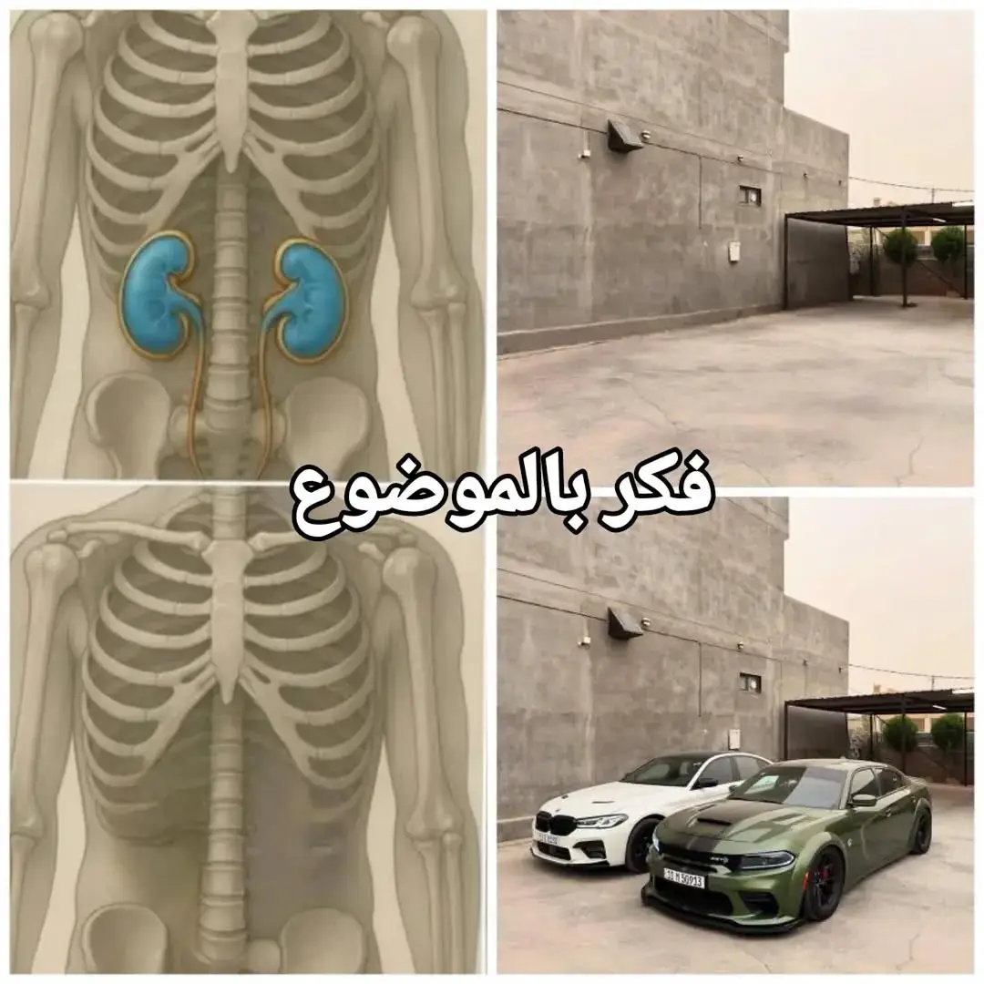#لايكات#تصميم_فيديوهات #CapCut @ابن حسين فكرر يا عزيزي 