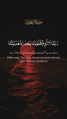 #اللهم_صلي_على_محمد_وأل_محمد❤ #سبحان_الله_الحمدلله_لااله_الا_الله #لا_اله_الا_الله_محمد_رسول_الله_❤️ #استغفرالله_العظيم_واتوب_اليه #quran_alkarim❤️🕊️ 