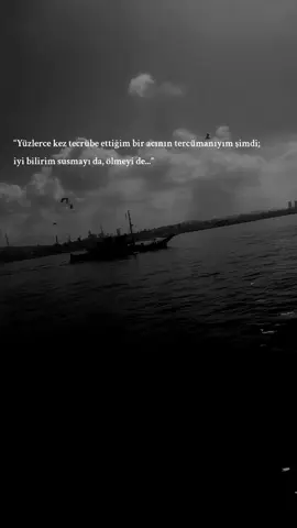 İyi bilirim.. #sairin_kalemi 
