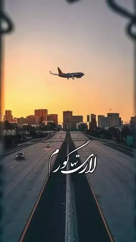 #CapCut  لاری تہ گورم #pppppppppppppppp #صلی_اللہ_علیه_وآله_وسلم #صلی_اللہ_علیه_وآله_وسلم #لاالہ_اللہ_محمدرسول_اللہ #وتعز_من_تشاء_وتذل_من_تشاء 