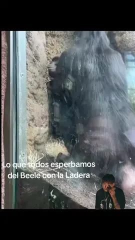 Ellos si hicieron toooo #frentealmar #videoviral #isabellaladera #beele 
