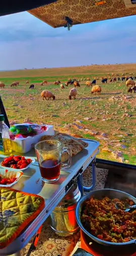 #اكسبلور 