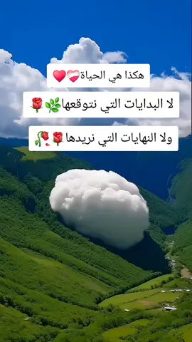 #اقتباسات_عبارات_خواطر 