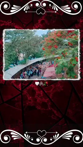 Tere dil pe haq mera hai#100kviews #fpyシ❥tiktok🖤🌹 #vira #viewproblem #iktok_india 