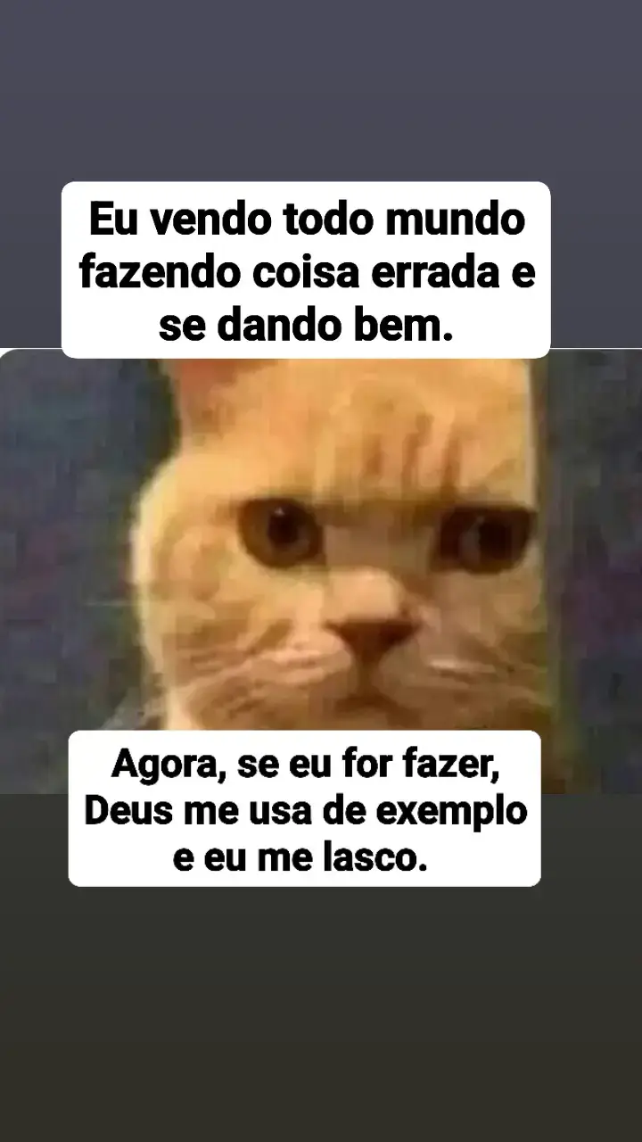 #tktok#