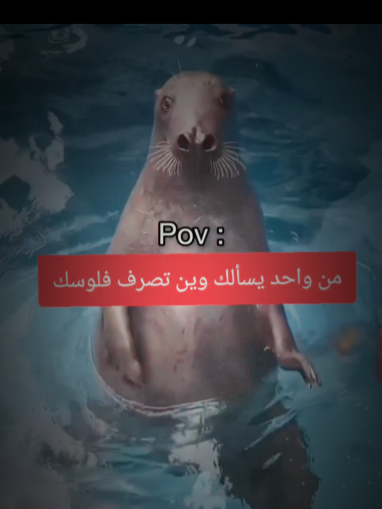 اصرف ولايهمك هههههههه  #شعب_الصيني_ماله_حل😂😂  #dancewithpubgm  #viralvideos  #foryou  #viral 