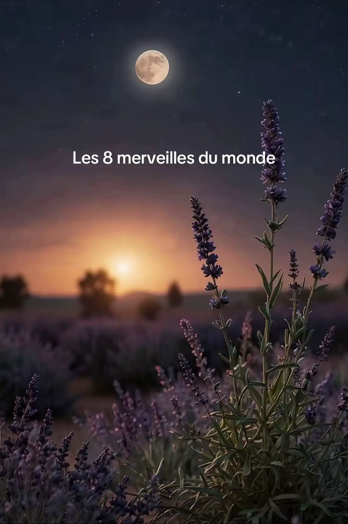 Voici les 8 merveilles du monde #pourtoi 