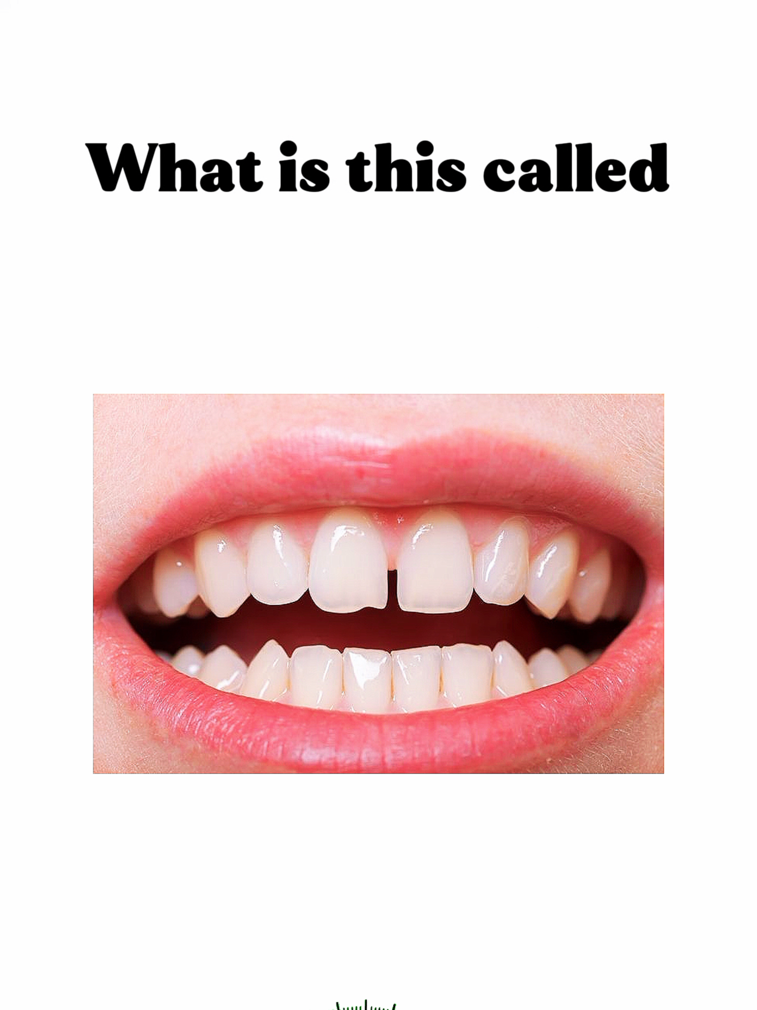 English Vocabulary Quiz #quiz #quiztime #learnenglish #vocabulary #Grow #Trivia #viralvideos
