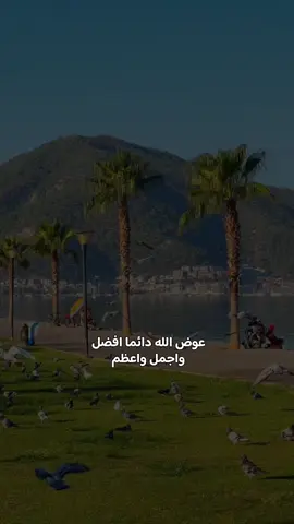 تابعوني على انستغرام diaa1.95  #تصويري_اكسبلور #تصويري_احترافي_الاجواء👌🏻🕊😴 #اقتباسات📝 #اقتباسات_جميله #ستورياتانستا 