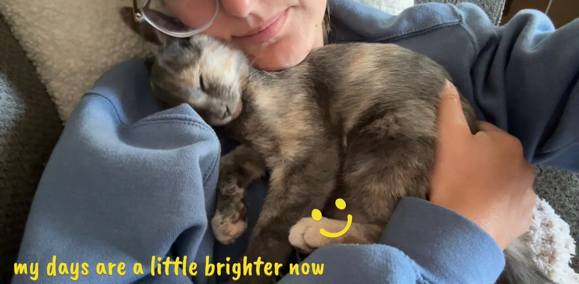 my camera roll is about to run out of storage from all the stella bean photos 🐱 #kitten  💖 Bonding moments: 