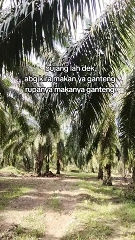 kan tepuruk jadinya ,hadehh🙂‍↔️😌#katakata #bataktoba #fyppppppppppppppppppppppp #kulisawitindonesia🇮🇩 in kk7#kulisawitindonesia🇮🇩 