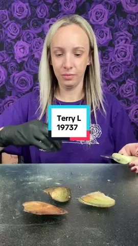 Terry L #roselee 