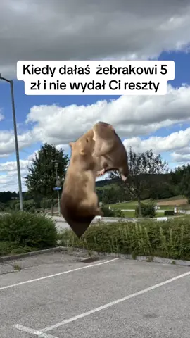 #MemeCut #Meme #MemeCut 