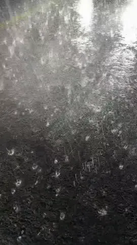 امطار غزيرة/ مطر /الحرث /جازان