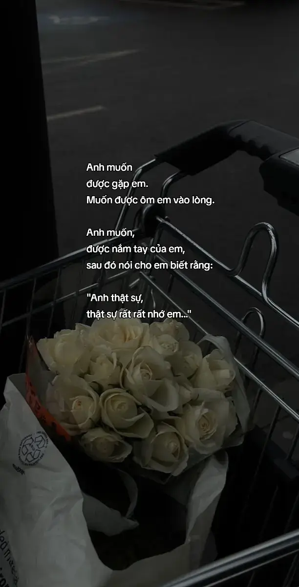 Anh muốn được ôm em🥺 #NQ #viral #tinhyeu #ypfッ #xhuong 