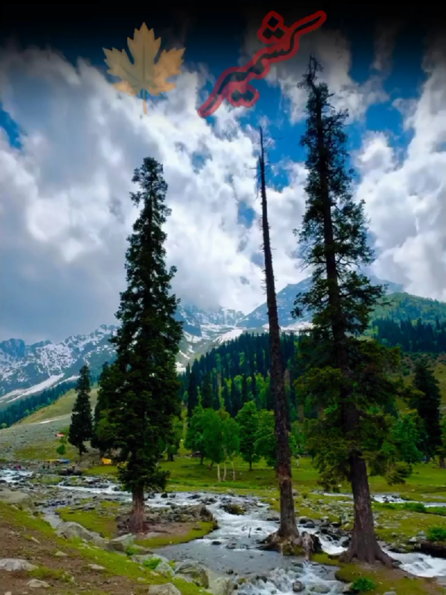 🍁کشمیر جنت ہے 🍁 #rawalakot_azad_kashmir💕💕 #fypage❤️🧡💛💚💙💜🤍💫💫 #standwithkashmir #naturalbeauty #azadkashmir 
