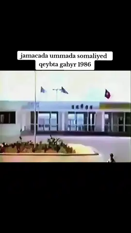 somali national university #somalia #muqadishu #university #share #fyp 